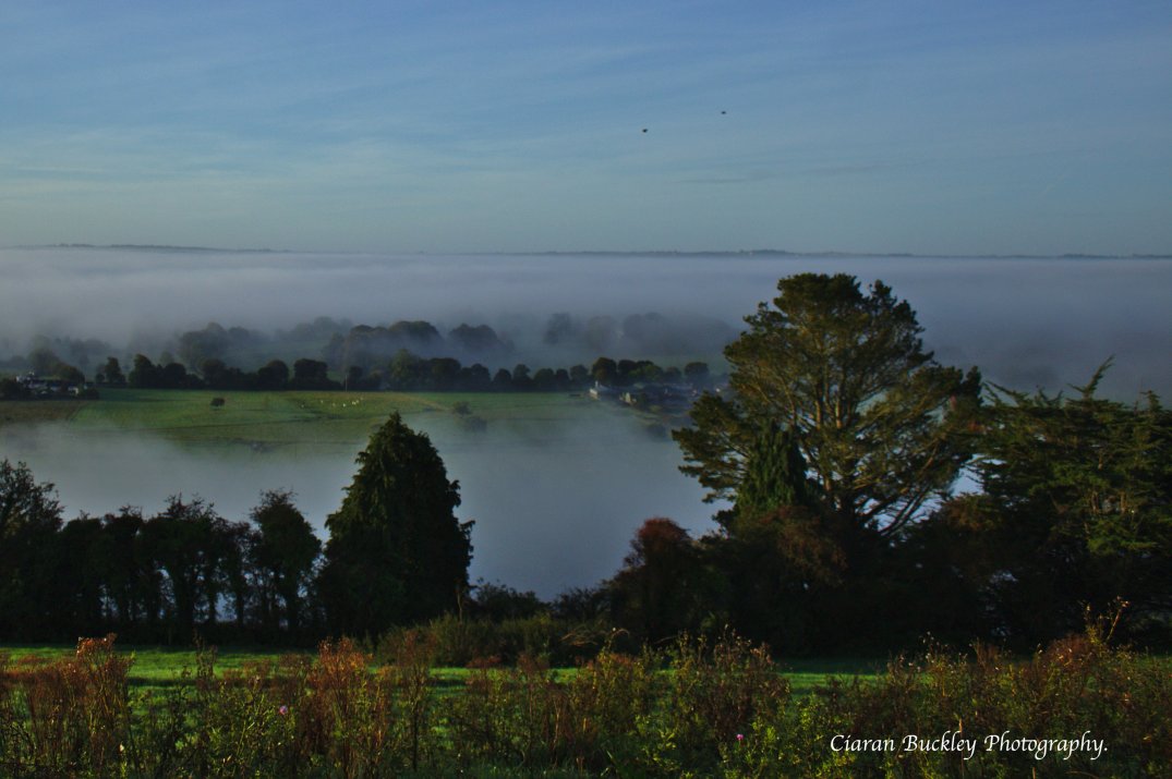 Fog in the Lee Valley_1