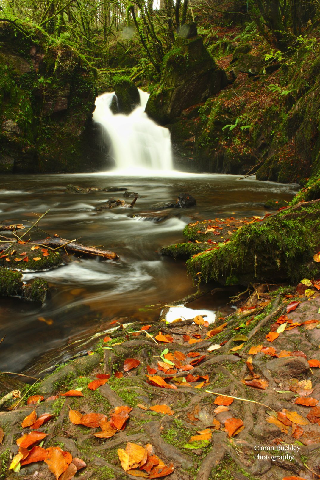 Autumn_Leaves_Waterfall